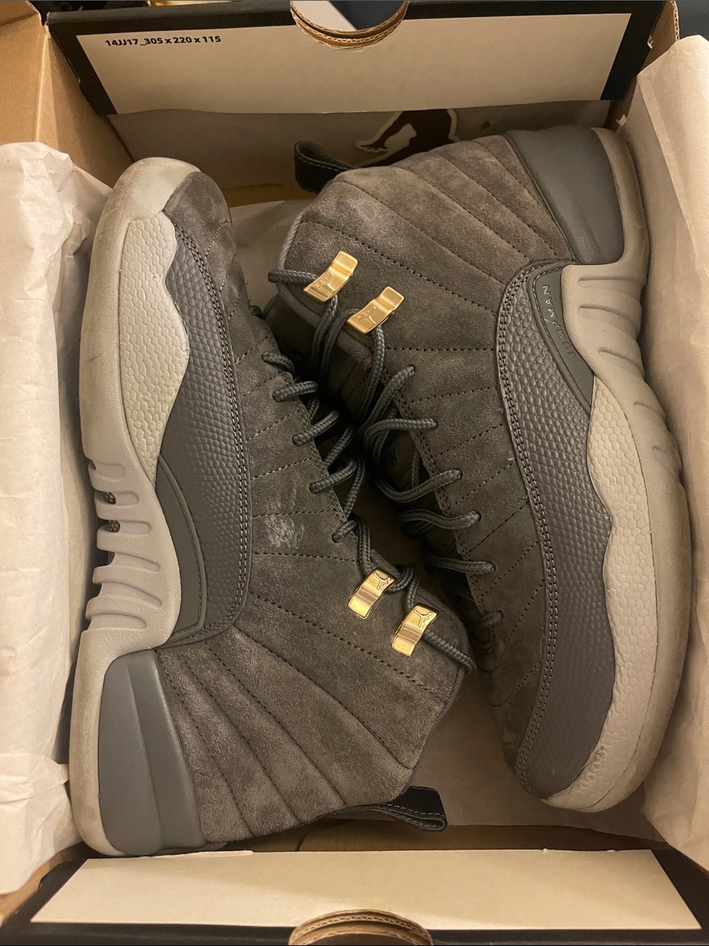 Retro 12 Jordan